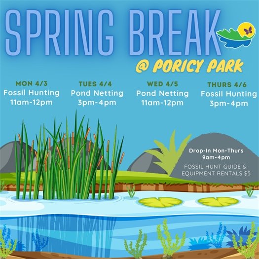 Spring Break at Poricy Park