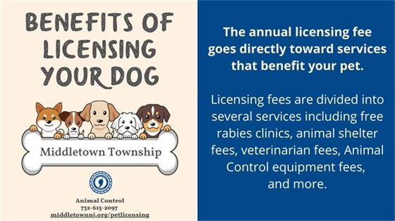 Benefit of Licensing Your Dog: The annual licensing fee goes directly toward services that benefit your pet﻿. Licensing fees are divided into several services including free rabies clinics, animal shelter fees, veterinarian fees, Animal Control equipment fees, and more.