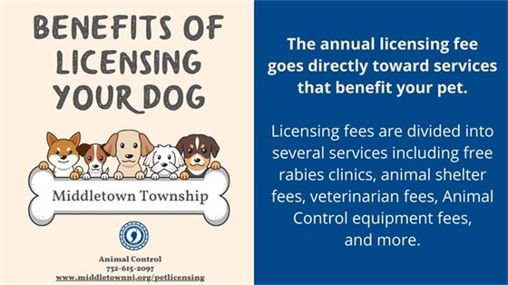 Benefit of Licensing Your Dog: The annual licensing fee goes directly toward services that benefit your pet. Licensing fees are divided into several services including free rabies clinics, animal shelter fees, veterinarian fees, Animal Control equipment fees, and more.