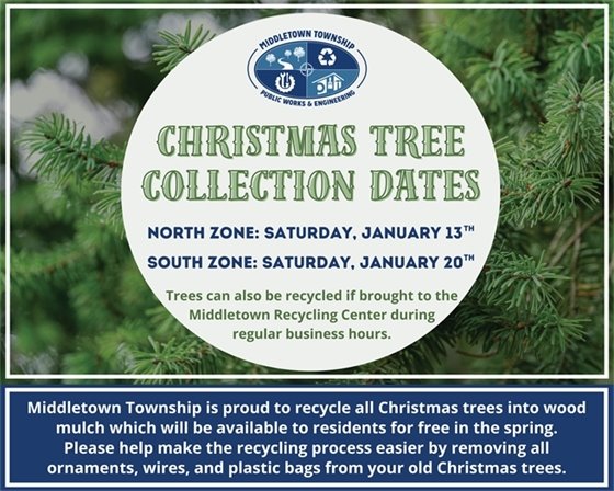 Christmas Tree Collection Dates