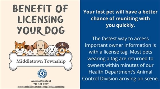 Benefit of Licensing Your Dog: Your lost pet will have a better chance of reuniting with you quickly. The fastest way to access important owner information is with a license tag. Most pets wearing a tag are returned to owners within minutes of our Health Department's Animal Control Division arriving on scene.