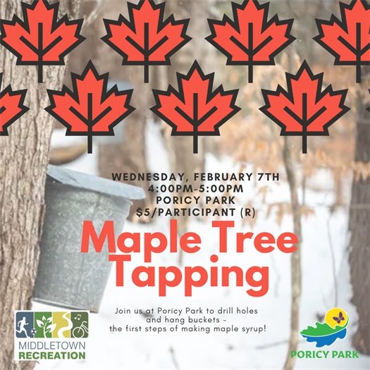 Middletown Recreation Maple Tree Tapping