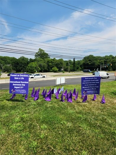 Purple and white flags