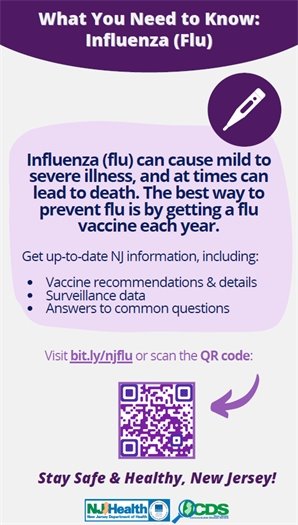 Flu Information