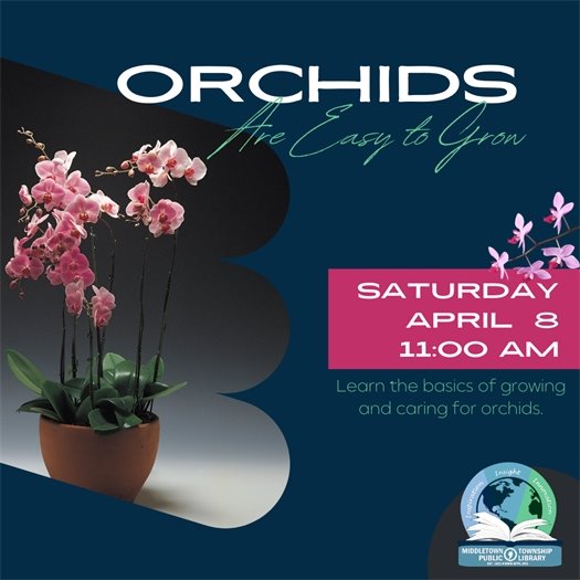 MTPL Orchids Are Easy to Grow Program
