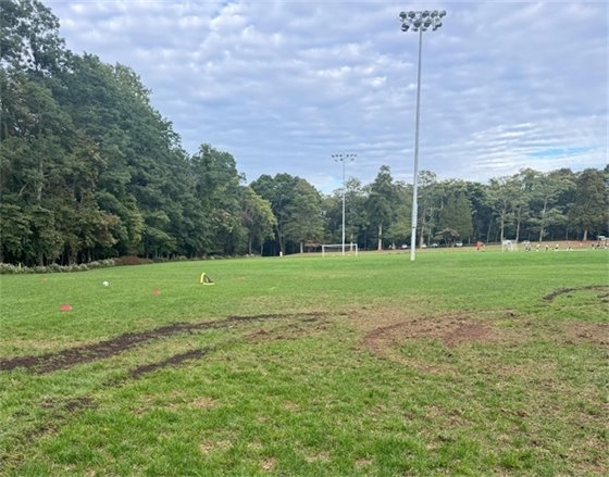 Photo of vandalism at Lincroft Acres