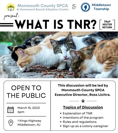 TNR