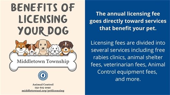 The annual licensing fee goes directly toward services that benefit your pet﻿. Licensing fees are divided into several services including free rabies clinics, animal shelter fees, veterinarian fees, Animal Control equipment fees, and more.