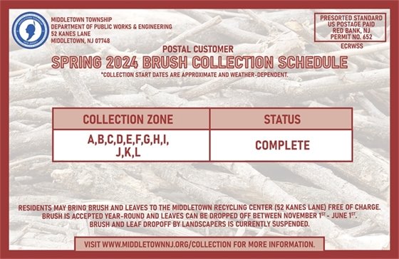 Spring 2024 brush collection is complete!