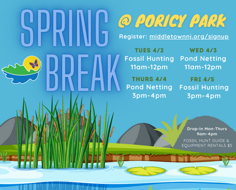 Spring Break newsflash