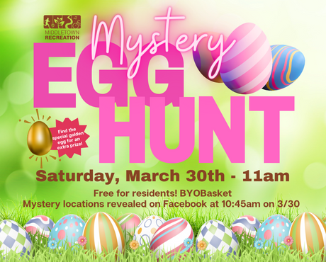 Mystery Egg Hunt Newsflash
