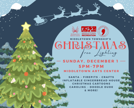 Christmas Tree Lighting Newsflash