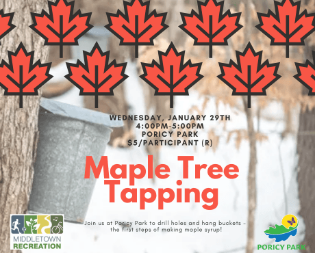 Tree Tapping Hike Newsflash