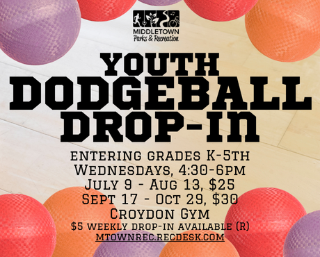 Dodgeball league newsflash