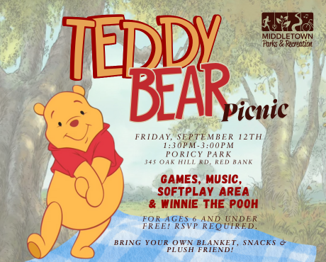 teddy bear picnic newsflash (460 x 370 px) (1)
