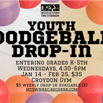 Dodgeball league newsflash