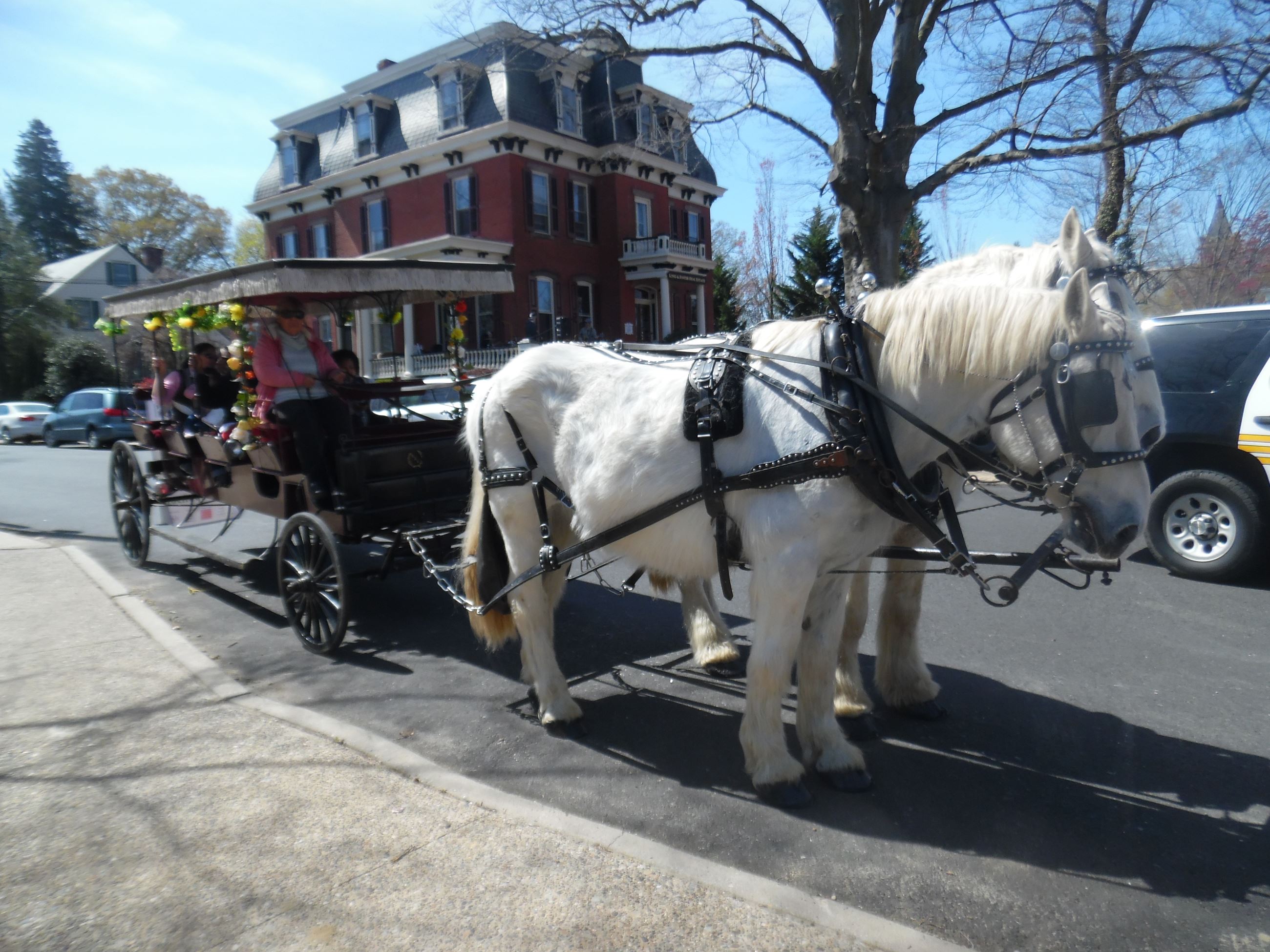 Middletown Horse-Drawn Carriage Ride on 10/13/17