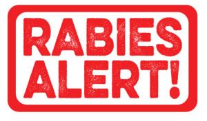 RABIES ALERT