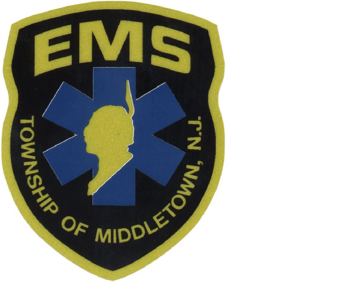 EMS logo