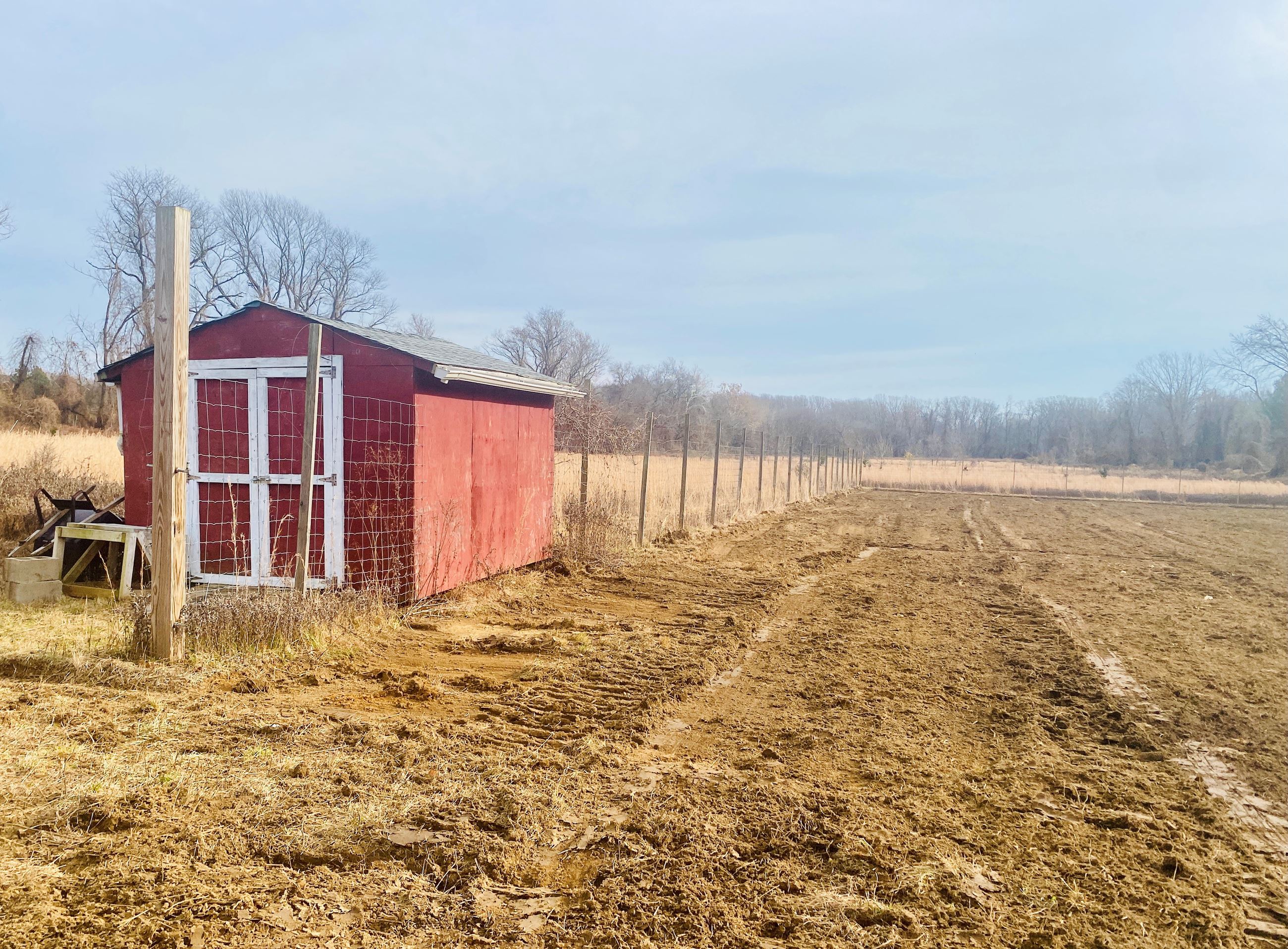Stevenson Park Community Garden Plots