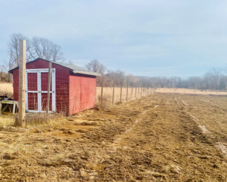 Community Garden_news