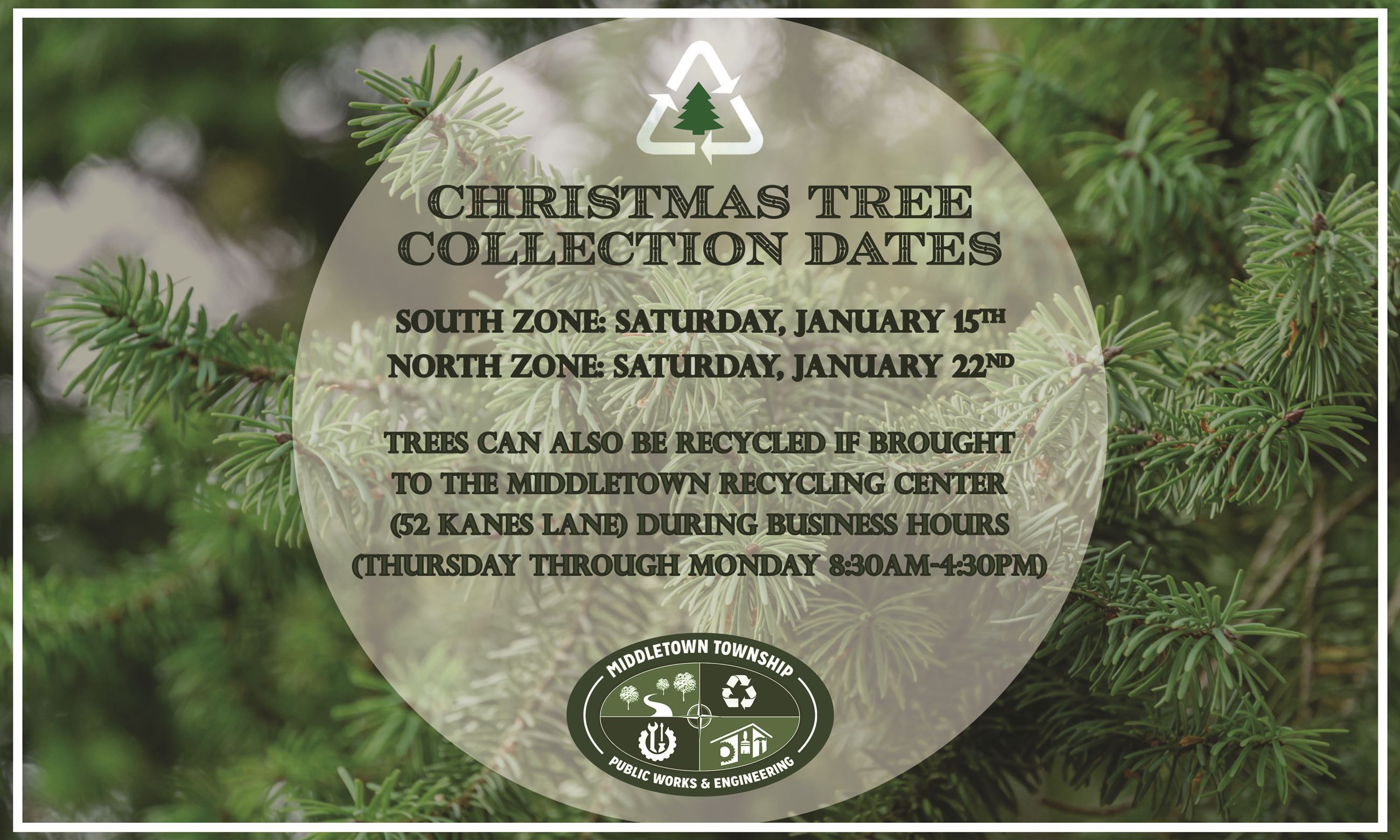 Christmas Tree Collection  2021-2022