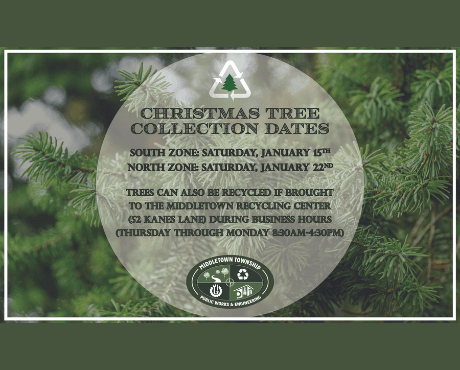 Christmas Tree Collection 2021-2022_news