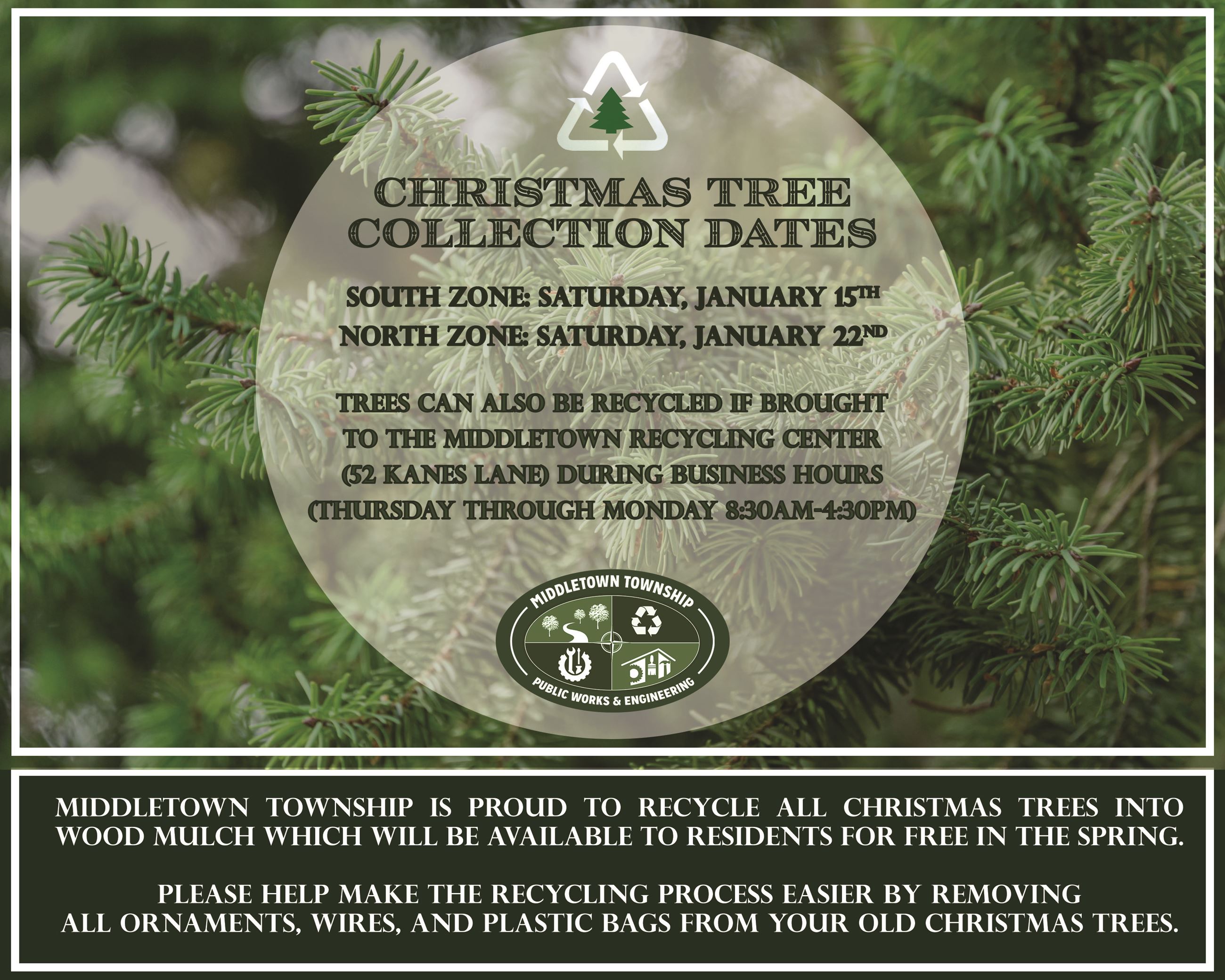 Christmas Tree Collection Graphic 2021_11222_news
