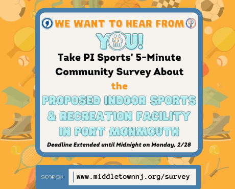 PI Sports Survey Extended_news