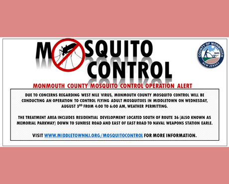 mosquito news flash