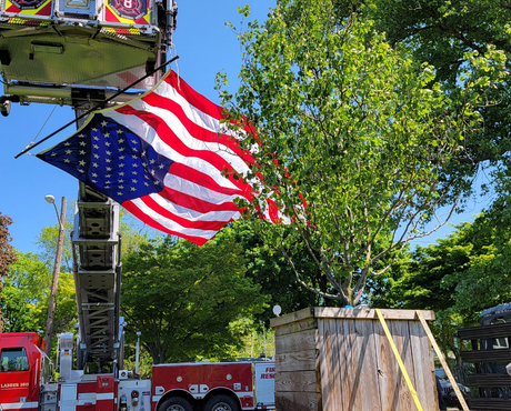 91122_Survivor Tree_news