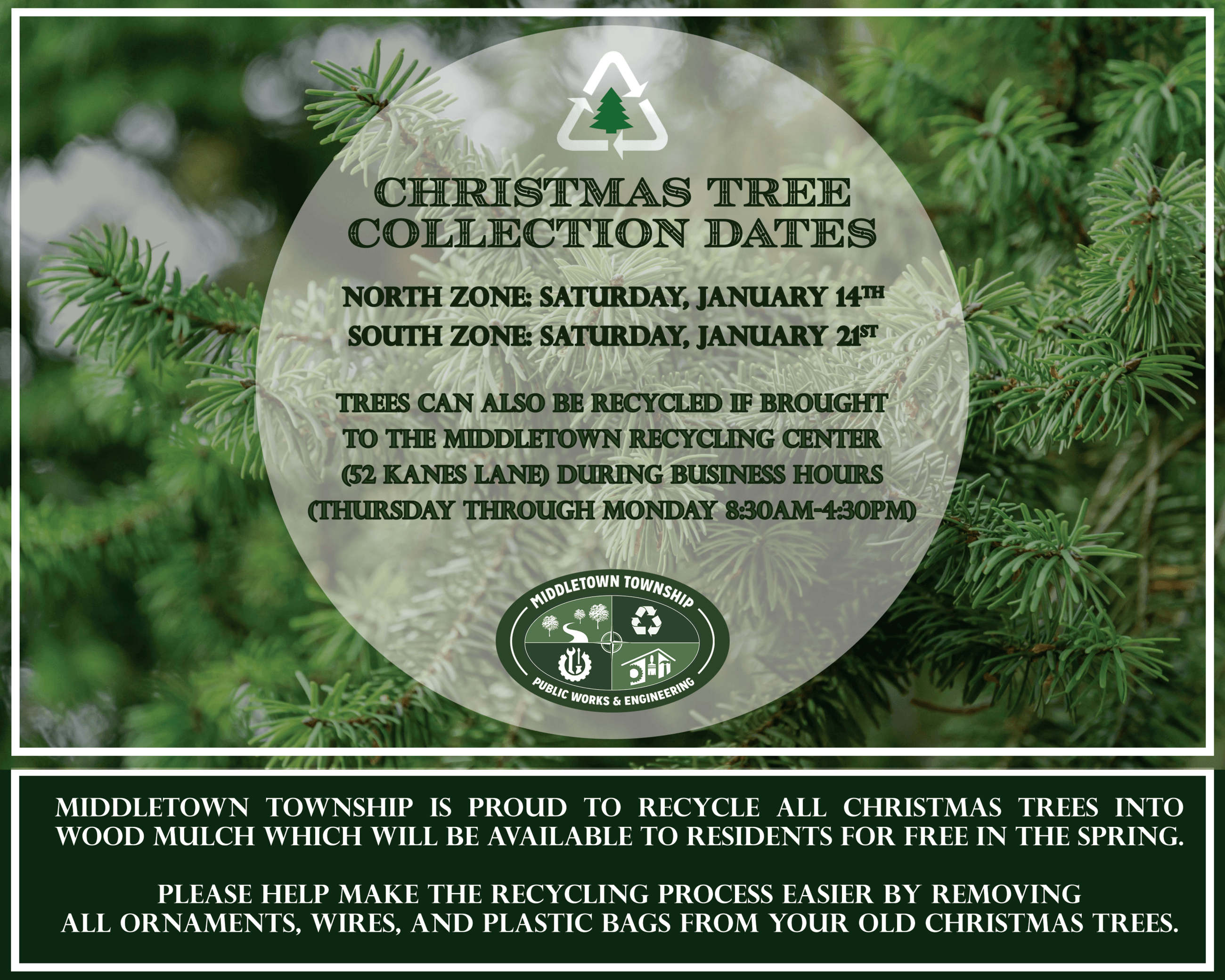 Christmas Tree Collection Graphic 2022