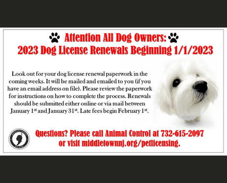 dog license renewal 2023_news