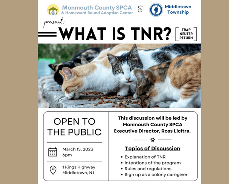 TNR March 2023_news