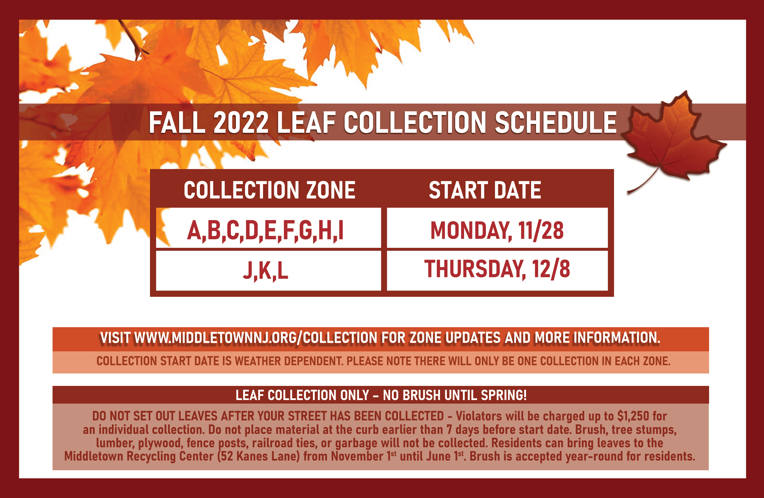 FALL 2022 LEAF COLLECTION POSTCARD_WEB